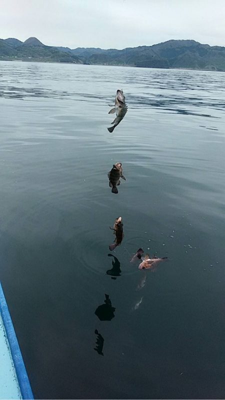 宝昌丸 釣果