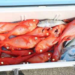 へいみつ丸 釣果