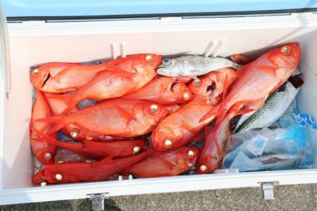 へいみつ丸 釣果