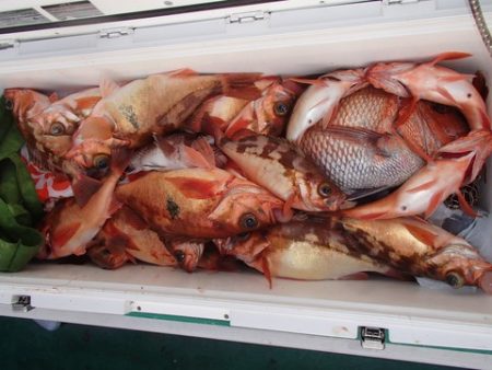 第二むつ漁丸 釣果