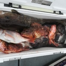 IDATEN(イダテン) 釣果