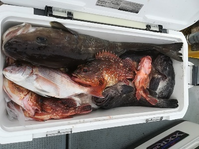 IDATEN(イダテン) 釣果