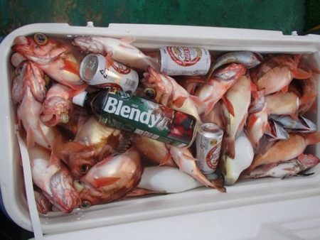 第二むつ漁丸 釣果