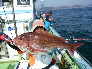 利八丸 釣果