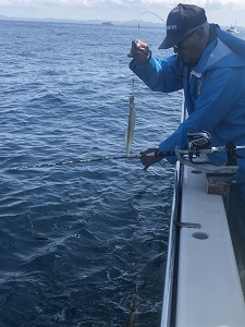 利八丸 釣果
