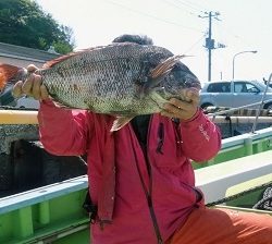 利八丸 釣果
