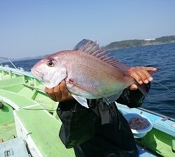 利八丸 釣果