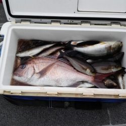 第二大福丸 釣果