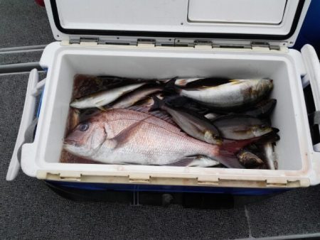 第二大福丸 釣果