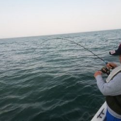 IDATEN（イダテン） 釣果