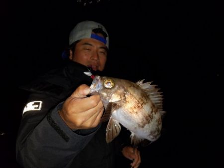 Magic(マジック) 釣果