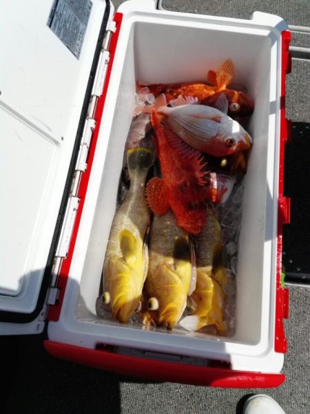 第二大福丸 釣果