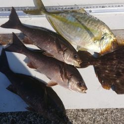 坂下丸 釣果