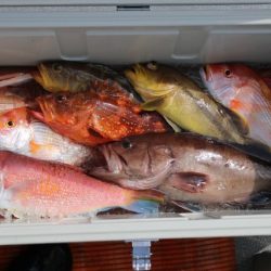 へいみつ丸 釣果