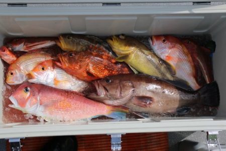 へいみつ丸 釣果