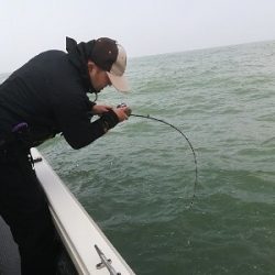 IDATEN(イダテン) 釣果