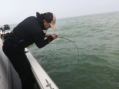 IDATEN(イダテン) 釣果