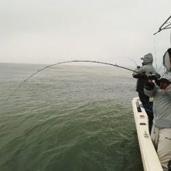 IDATEN（イダテン） 釣果