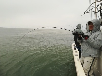 IDATEN（イダテン） 釣果