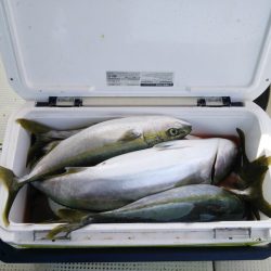 遊漁船　ニライカナイ 釣果