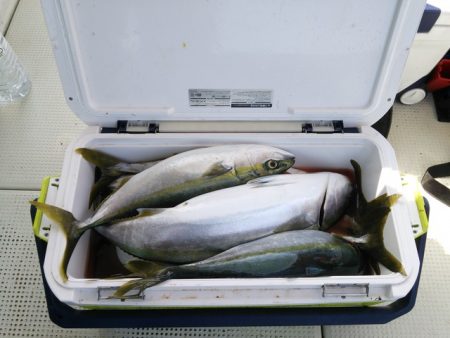 遊漁船　ニライカナイ 釣果