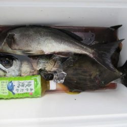 濱田渡船 釣果