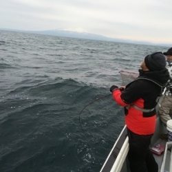 IDATEN(イダテン) 釣果