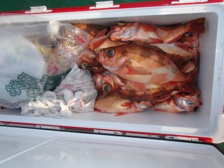 第二むつ漁丸 釣果