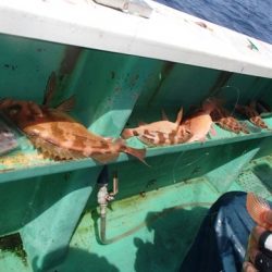 第二むつ漁丸 釣果