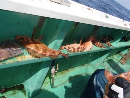 第二むつ漁丸 釣果