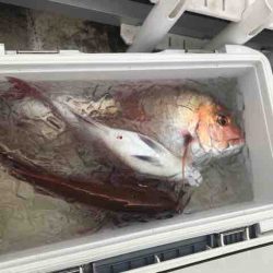 龍宮丸 釣果