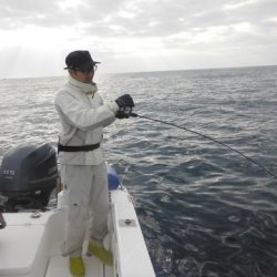 開進丸 釣果