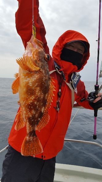 海峰 釣果