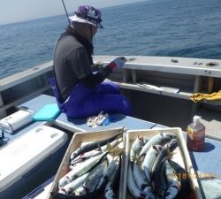 石川丸 釣果