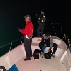 Magic（マジック） 釣果