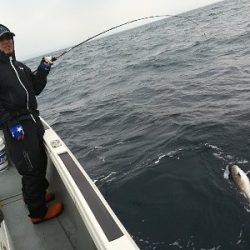 IDATEN（イダテン） 釣果