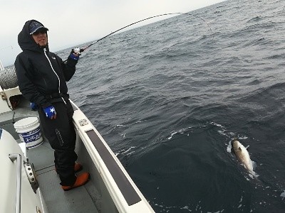 IDATEN（イダテン） 釣果