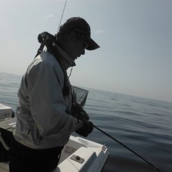 開進丸 釣果