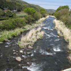狩野川（狩野川漁業協同組合） 釣果