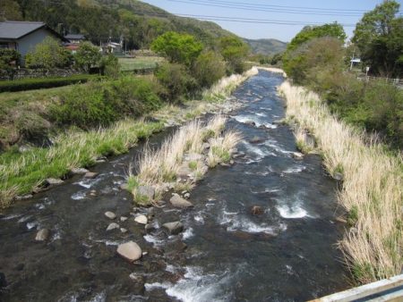 狩野川（狩野川漁業協同組合） 釣果
