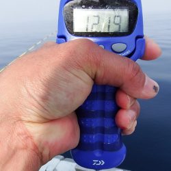 第三むつりょう丸 釣果