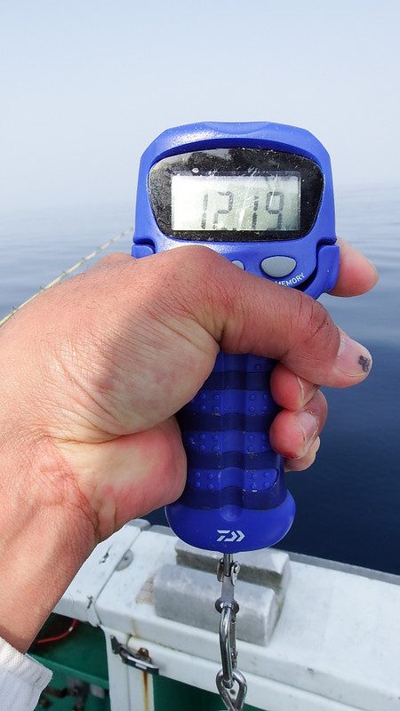 第三むつりょう丸 釣果