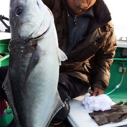 第三むつりょう丸 釣果