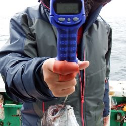 第三むつりょう丸 釣果