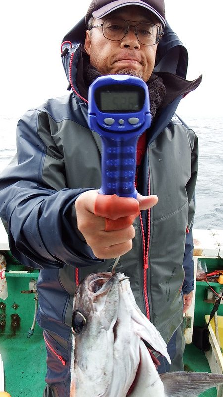 第三むつりょう丸 釣果