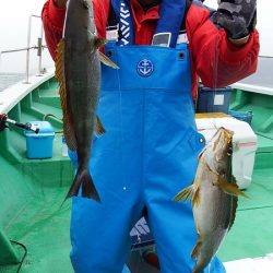 第三むつりょう丸 釣果