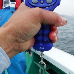 第三むつりょう丸 釣果