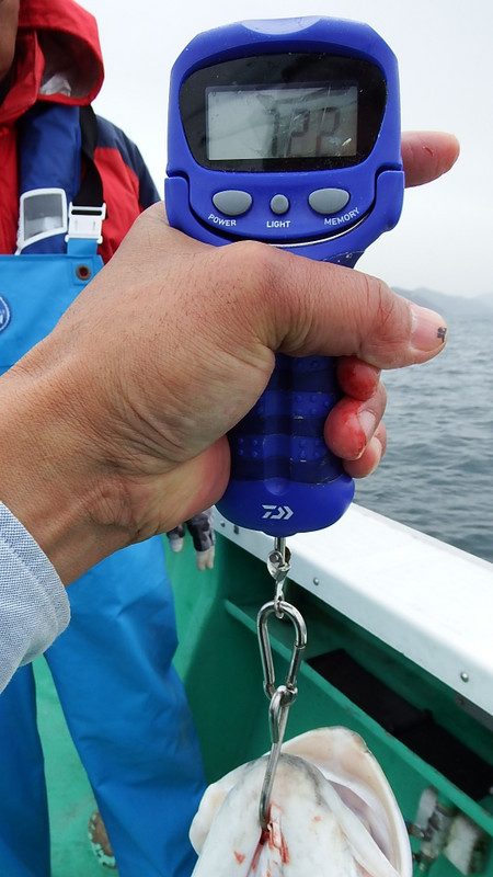 第三むつりょう丸 釣果