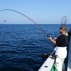 第三むつりょう丸 釣果