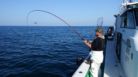 第三むつりょう丸 釣果